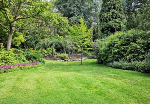 Optimiser l'expérience du jardin à Hautmougey